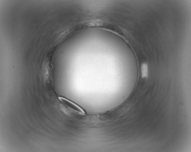 X0000082151444200702021623