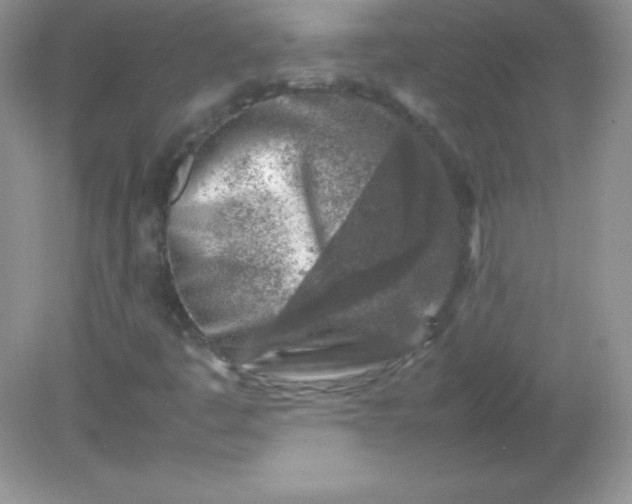 X0000082151445200702021623