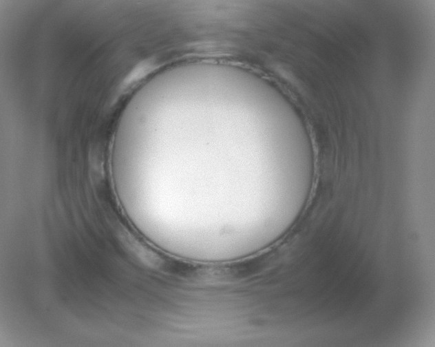 X0000082151451200702021623