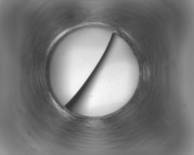 X0000082151452200702021622