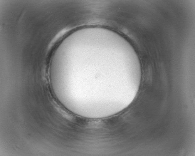 X0000082151454200702021622