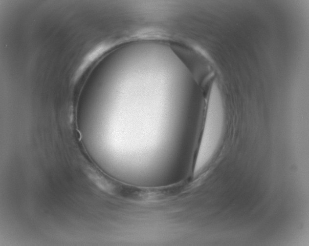 X0000082151461200702021622
