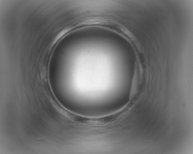 X0000082151465200702021622