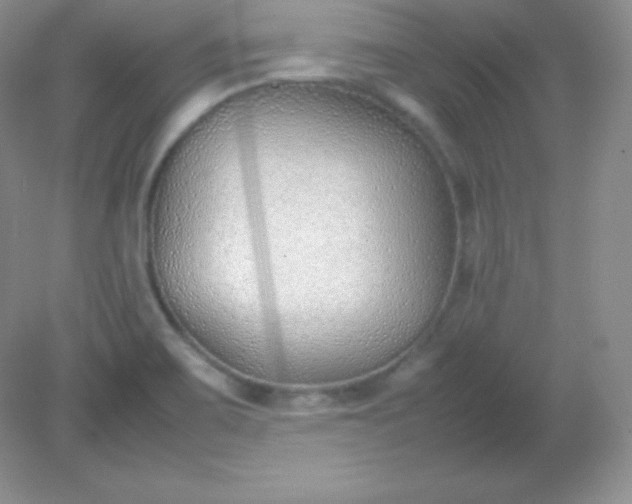 X0000082151467200702021622