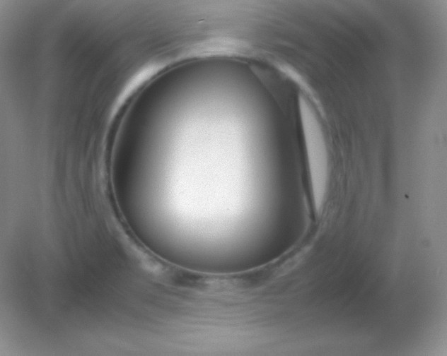 X0000082151469200702021622