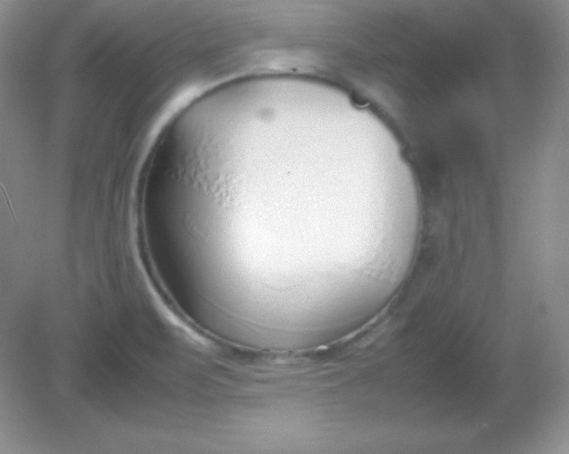 X0000082151471200702021622