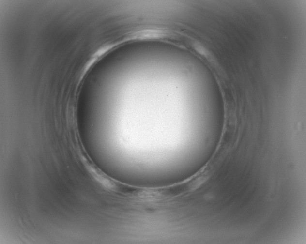 X0000082151473200702021622