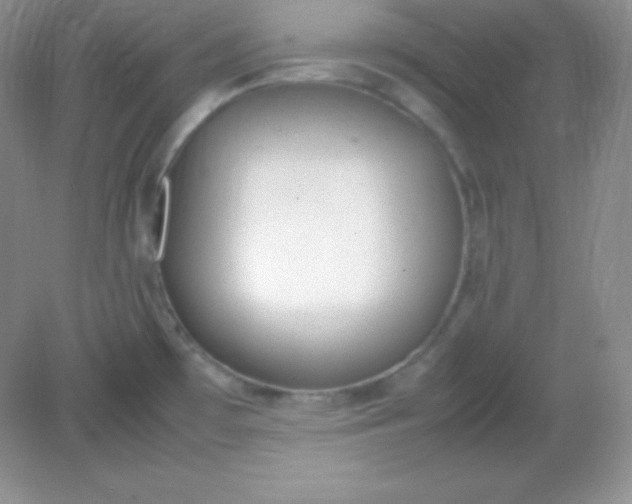 X0000082151481200702021622