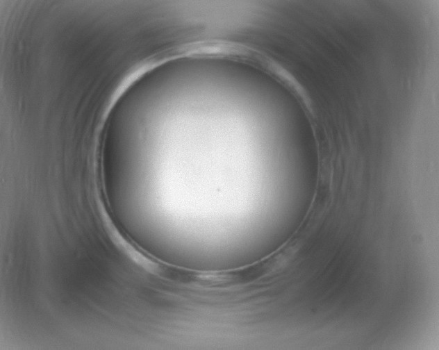 X0000082151483200702021622