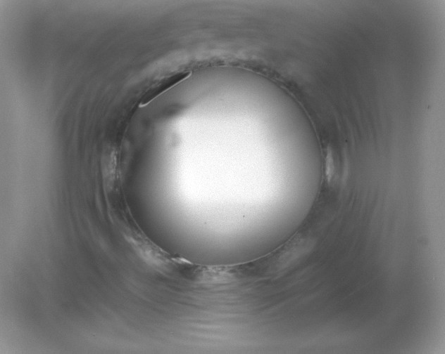 X0000082151492200702021621