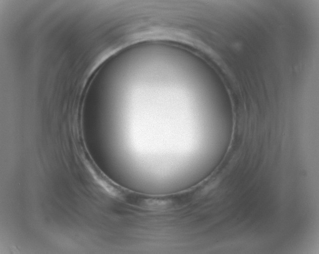 X0000082151513200702021621