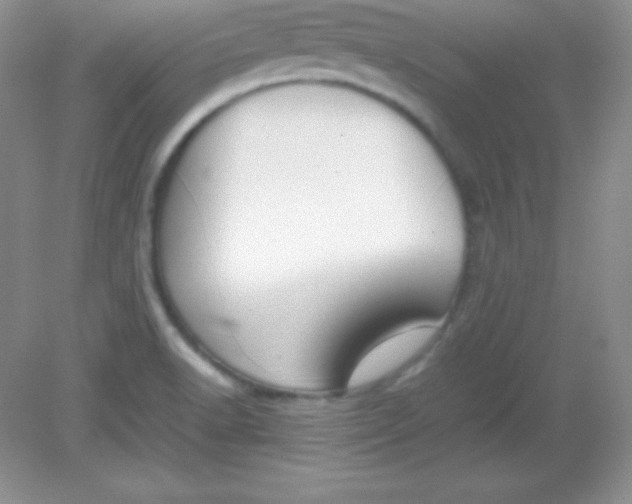 X0000082151518200702021622