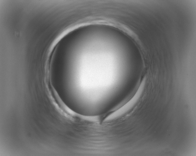 X0000082151520200702021622