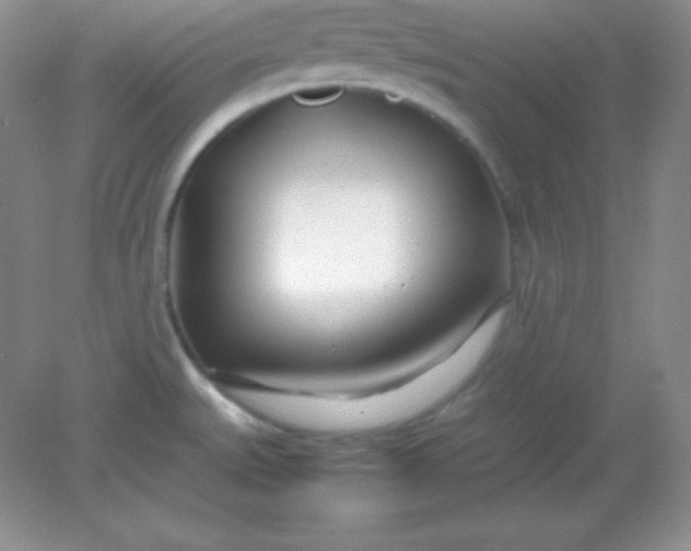 X0000082151527200702021622