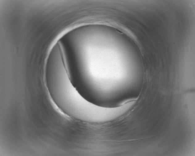 X0000082151528200702021622