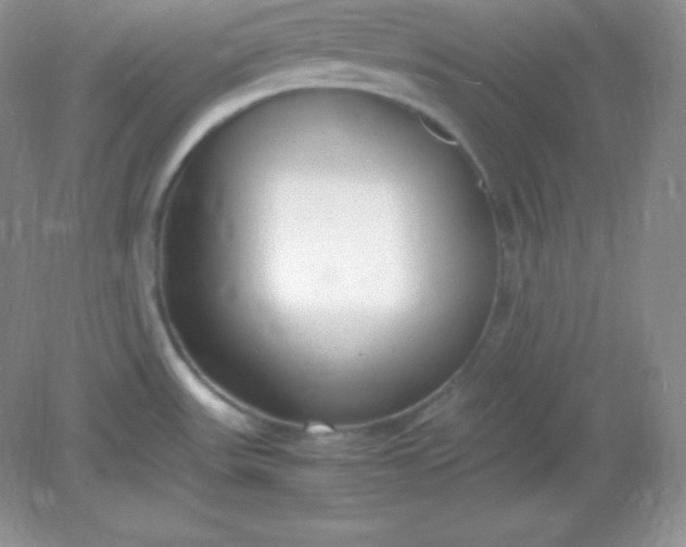 X0000082151531200702021622