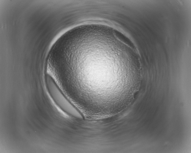 X0000082151533200702021622