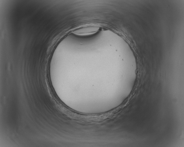 X0000082150001200702092203