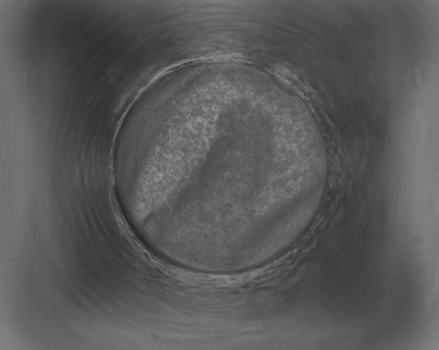 X0000082150002200702092203