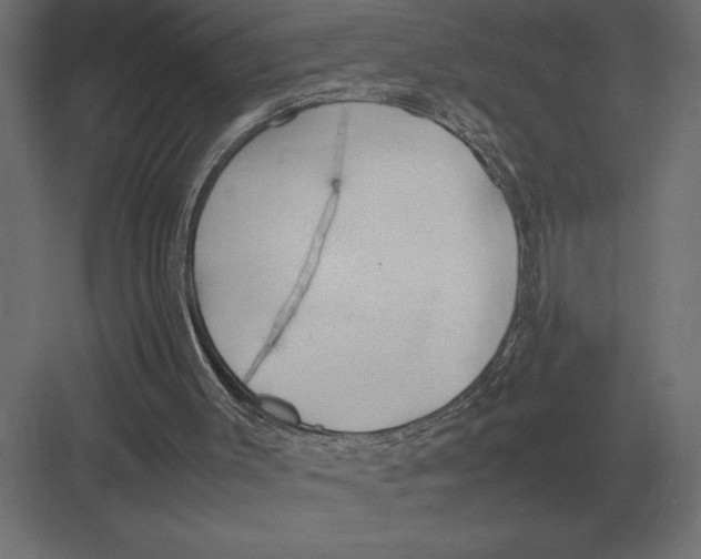 X0000082150003200702092203