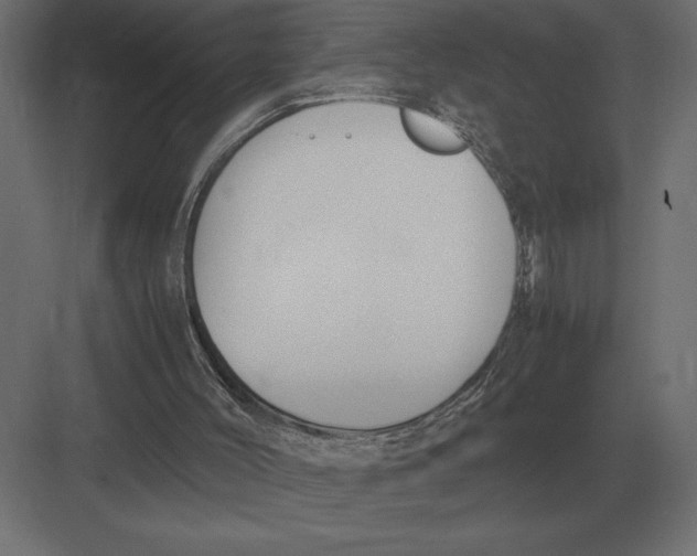 X0000082150004200702092203