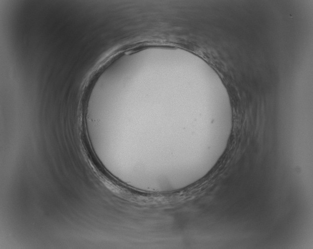 X0000082150005200702092203