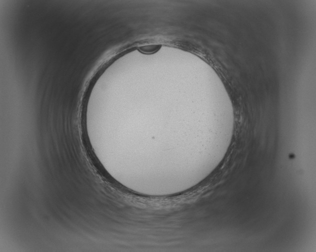 X0000082150006200702092203