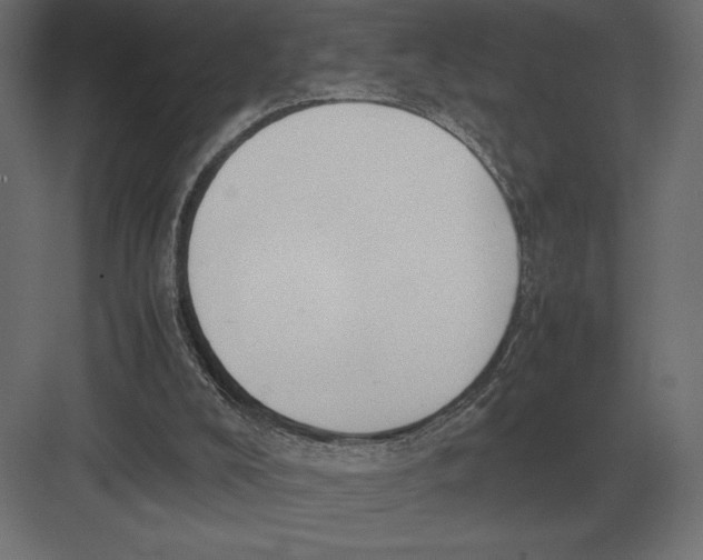 X0000082150008200702092203