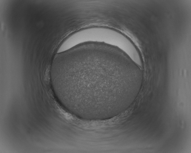 X0000082150009200702092203