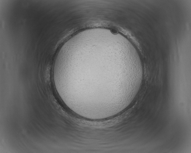 X0000082150010200702092203