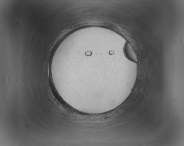 X0000082150011200702092203