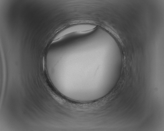 X0000082150013200702092203