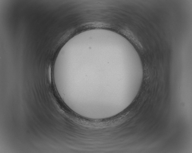 X0000082150014200702092203