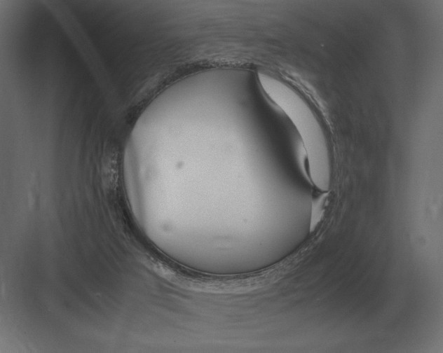 X0000082150017200702092203