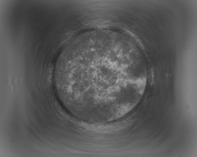 X0000082150018200702092203