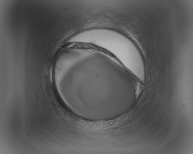 X0000082150019200702092203