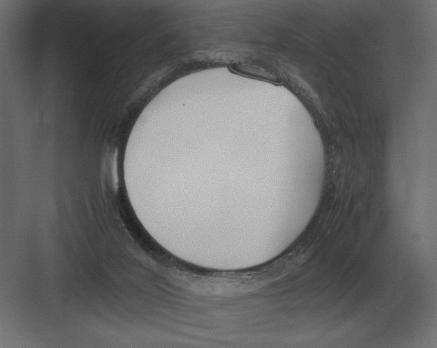 X0000082150020200702092203