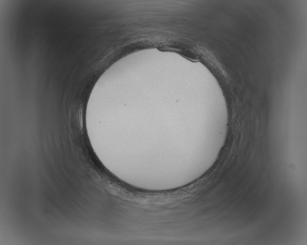 X0000082150021200702092203