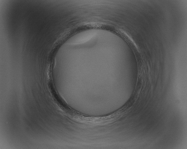 X0000082150023200702092203