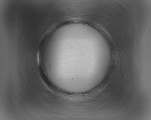 X0000082150024200702092203