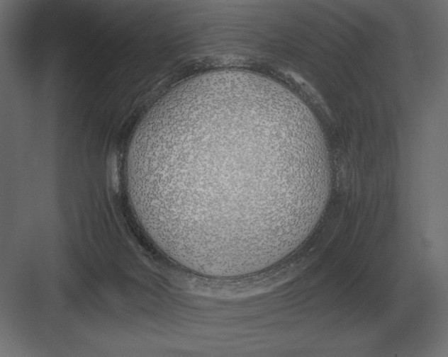 X0000082150026200702092203