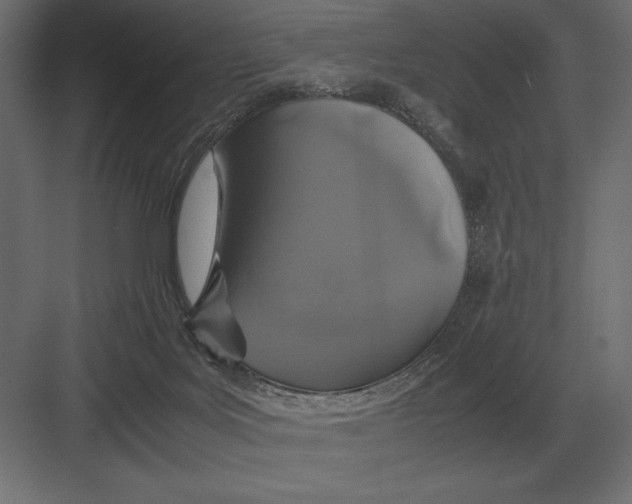 X0000082150027200702092203