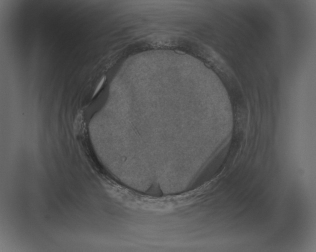 X0000082150029200702092203