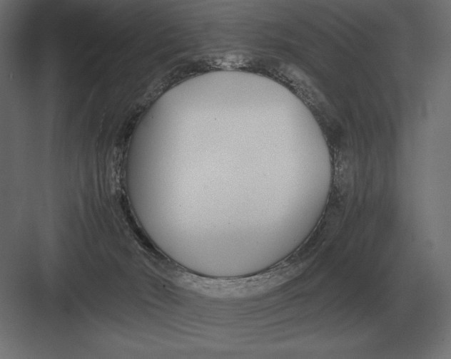 X0000082150030200702092203