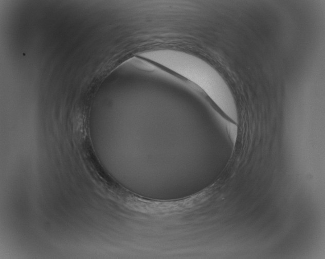 X0000082150031200702092203