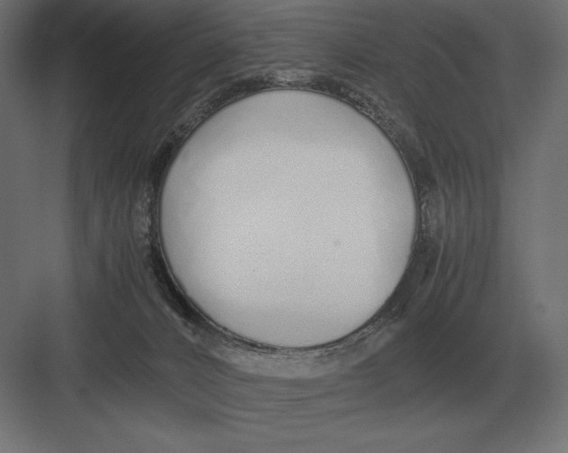 X0000082150032200702092203