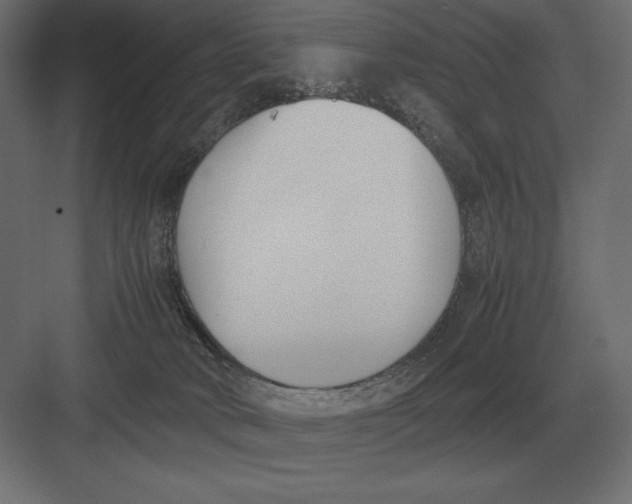 X0000082150034200702092202