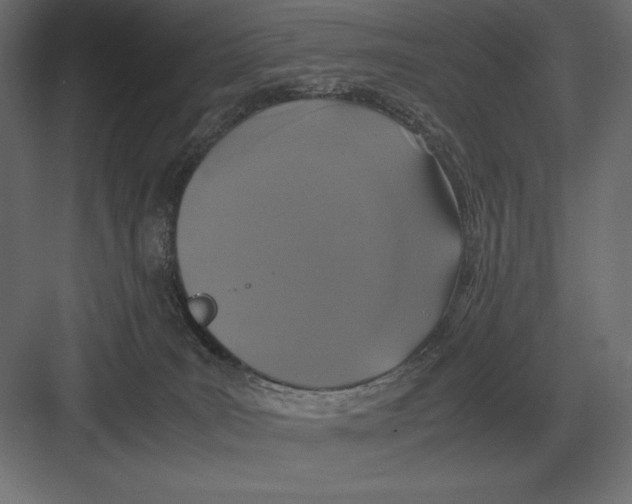 X0000082150035200702092202