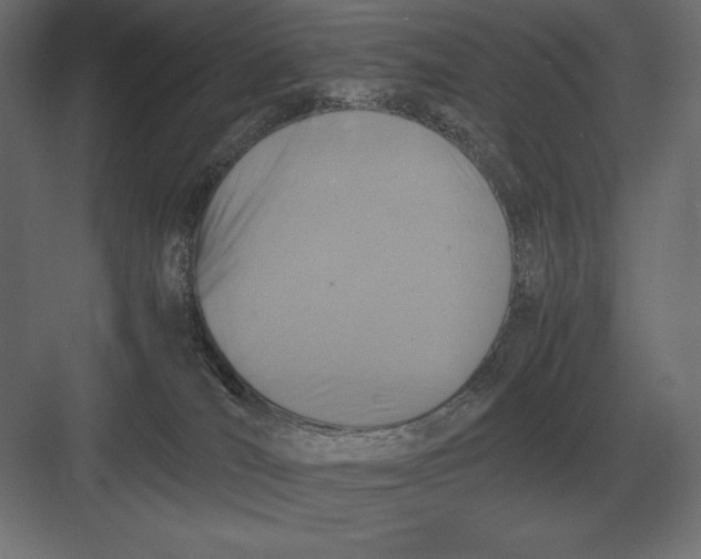 X0000082150036200702092202