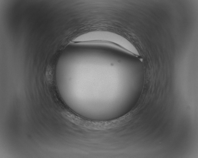 X0000082150037200702092202